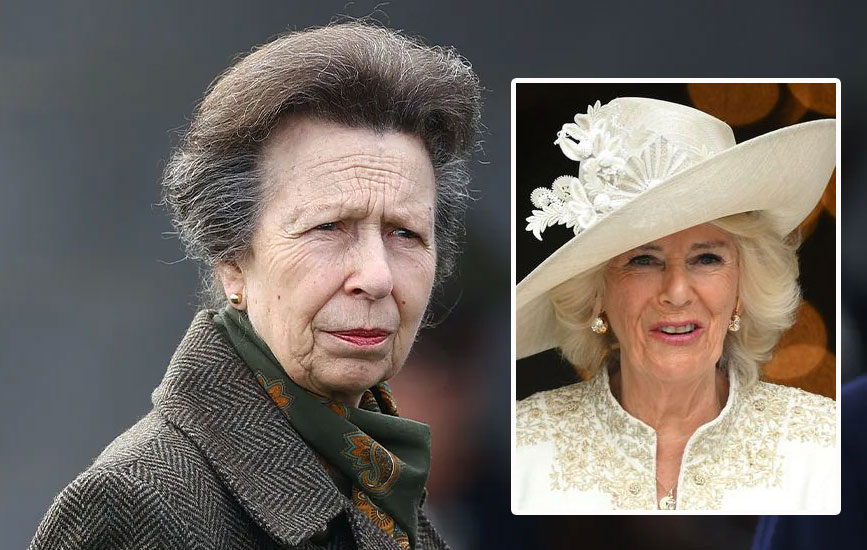 Camilla challenged by Princess Anne - Science Techy